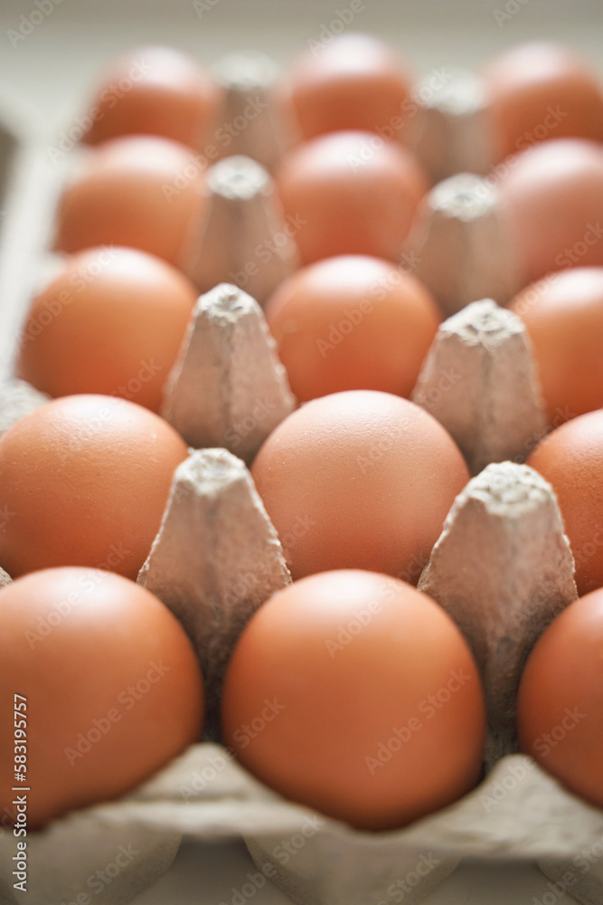 Eggs set. Many food protein. Colorful bright on background. Hard shadow. Easter sun box. Carton organic concept. Traditional cuisine top view. Flatlay Eggs set. Many food protein. Colorful bright on background. Hard shadow. Easter sun box. Carton organic concept. Traditional cuisine top view. Flatlay