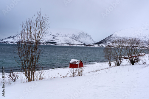 coastline snowy nature in tromso, norway © Hayriye