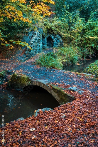 Vertical shot of a small bridge over a stream in a forest covered in dried leaves in autumn