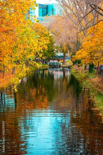 Vertical shot of a river in an autumn park