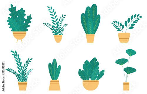 Set house plants and flowers in ceramic pots.