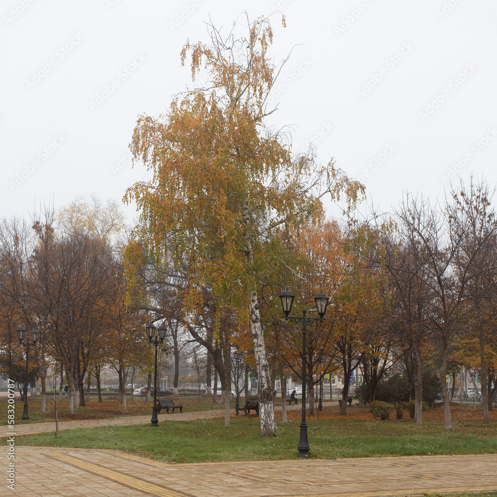 Autumn foggy morning in the city, the city park is a place for walking citizens.