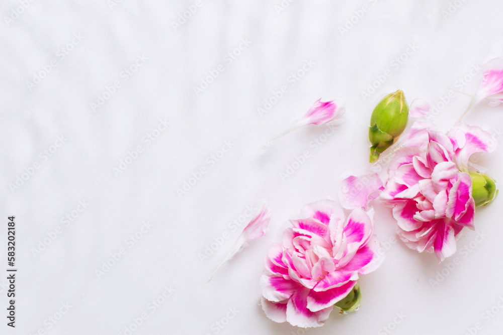 Pink flowers in the water. Waves, water, petals. floral, water Dripping, pouring. Pink flowers in the water. Waves, water, petals. floral, water Dripping, pouring.