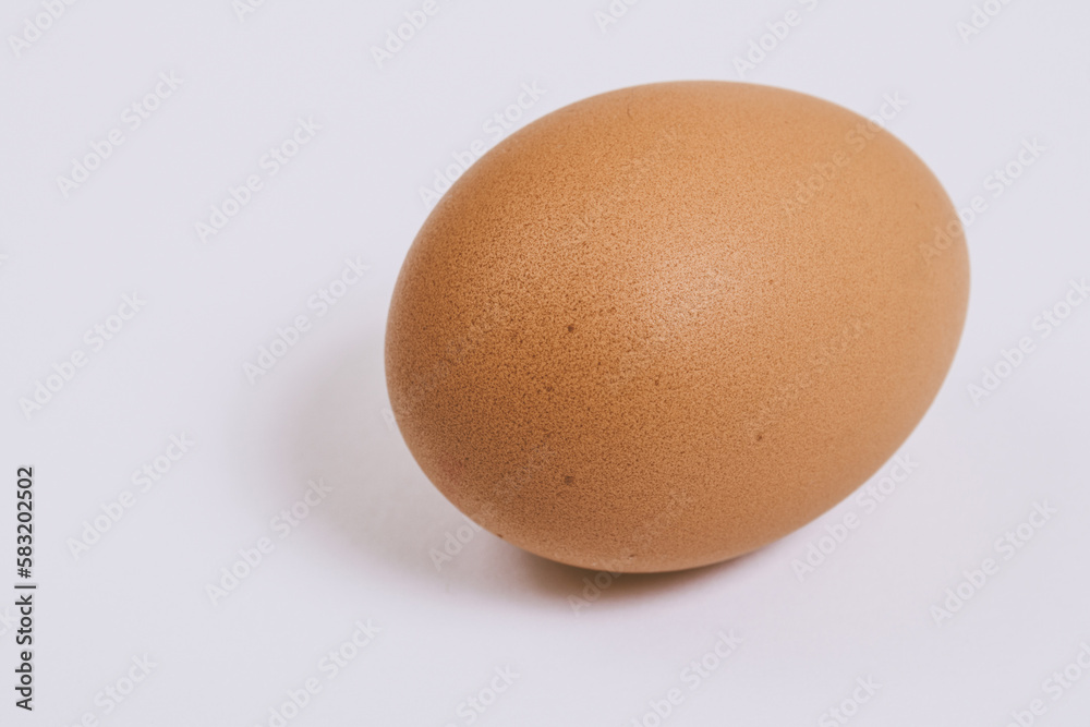 Brown egg close-up on bright background. Macro shot. Selective focus. Brown egg close-up on bright background. Macro shot. Selective focus.