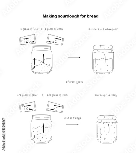 Step-by-step preparation of sourdough starter. Sourdough for baking bread.
Outline black and white illustration. Vector illustration
