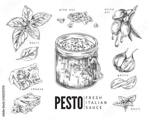 Italian pesto ingredients and pesto sauce in jar, vector illustration isolated.
