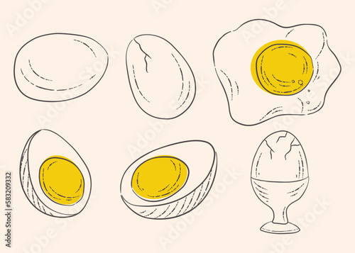 hand drawn set of icons eggs in scorupe egg yolk