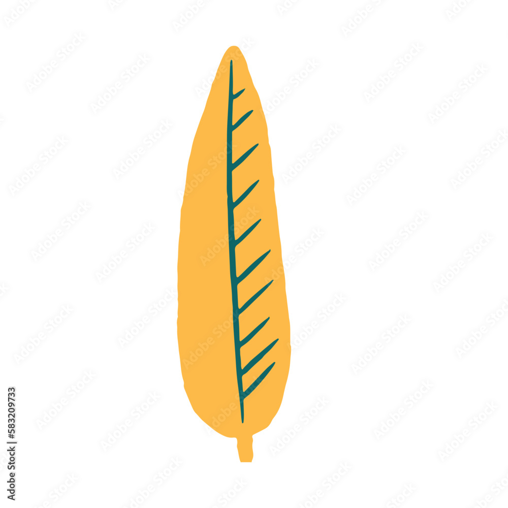 Colection Leaf Floral Illustration Colection Leaf Floral Illustration