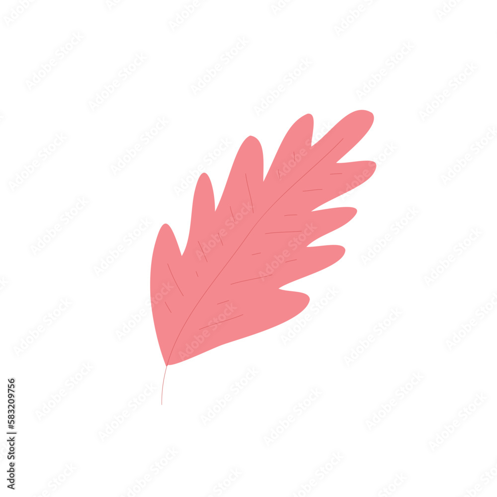 Colection Leaf Floral Illustration Colection Leaf Floral Illustration