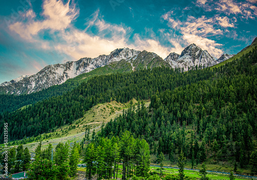 Green Rice fields of Nalter Valley  