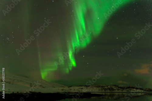 aurora borealis northern lights in tromso, norway © Hayriye