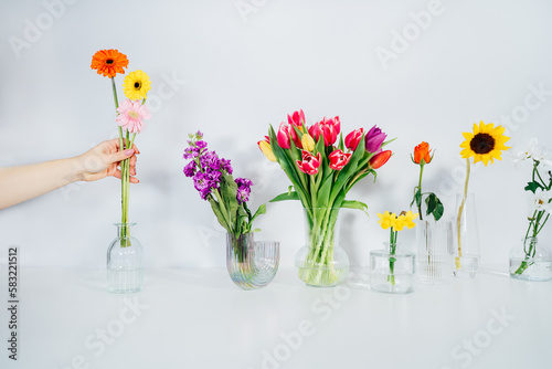 Принти на полотні Female hand putting gerberas into vase in row with variation of different flowers in vases on white table