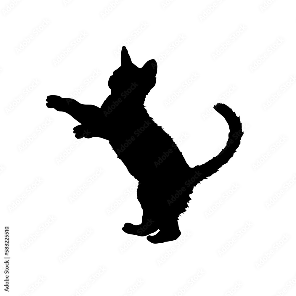 Black silhouette of a kitten. Cat silhouette. isolated, illustration