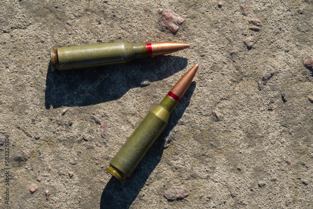 Two rifle cartridges lie on a concrete surface (close-up) Two rifle cartridges lie on a concrete surface (close-up)