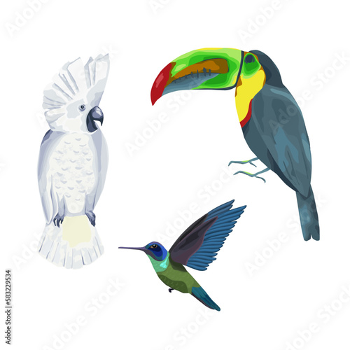 Tropical birds collection. Vector illustration