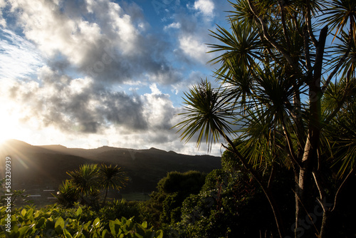 Sunrise Te Henga Walkway Bethells Beach Auckland Tamaki Makaurau Aotearoa New Zealand photo