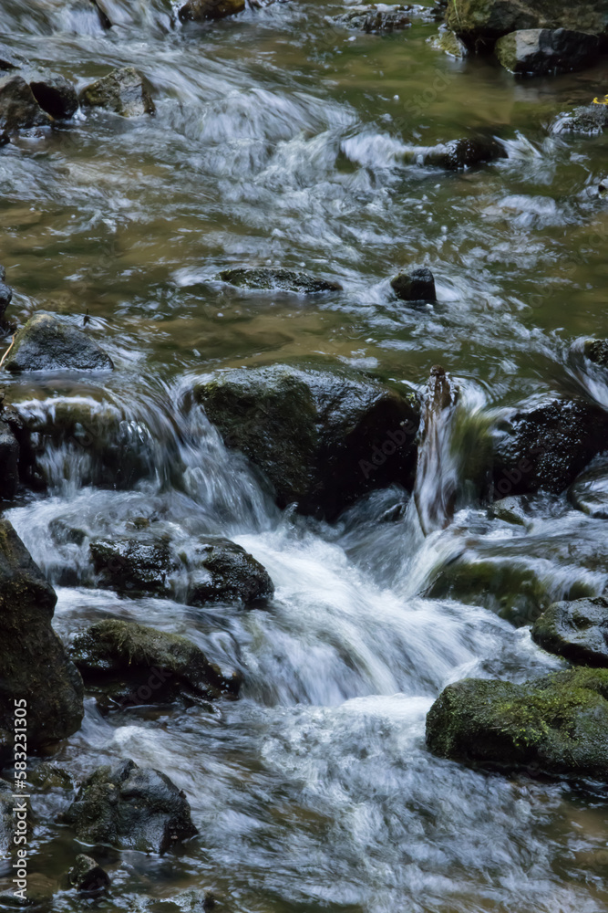 Fototapeta premium Stream Cascading over rocks