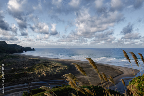 Sunrise Te Henga Walkway Bethells Beach Auckland Tamaki Makaurau Aotearoa New Zealand photo