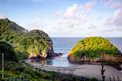 Sunrise Te Henga Walkway Bethells Beach Auckland Tamaki Makaurau Aotearoa New Zealand photo