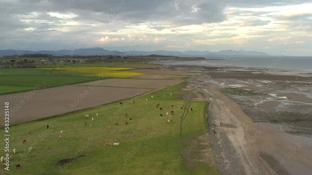 Aerial View over Beach and Fields in Clogherhead , Ireland Aerial View over Beach and Fields in Clogherhead , Ireland