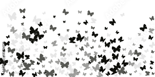 Magic black butterflies isolated vector illustration. Summer beautiful moths. Wild butterflies isolated dreamy wallpaper. Tender wings insects patten. Tropical beings.