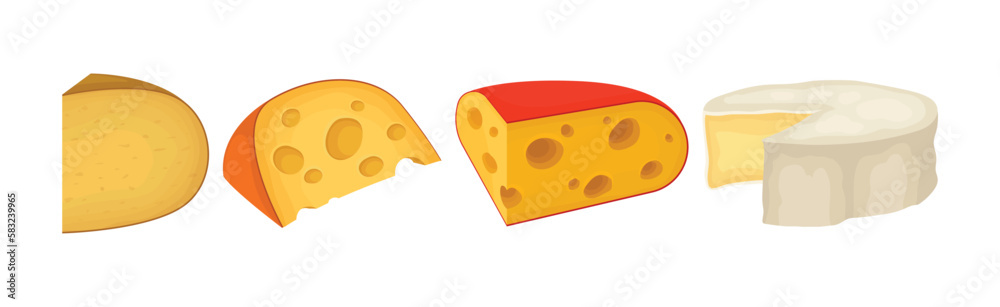 Different Cheese as Dairy Product Made from Milk Vector Set Different Cheese as Dairy Product Made from Milk Vector Set