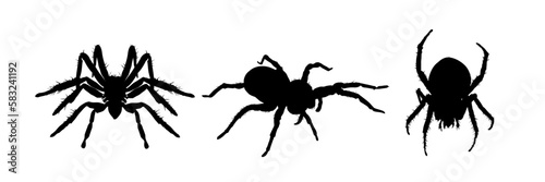 Set of spider silhouette isolated - vector illustration