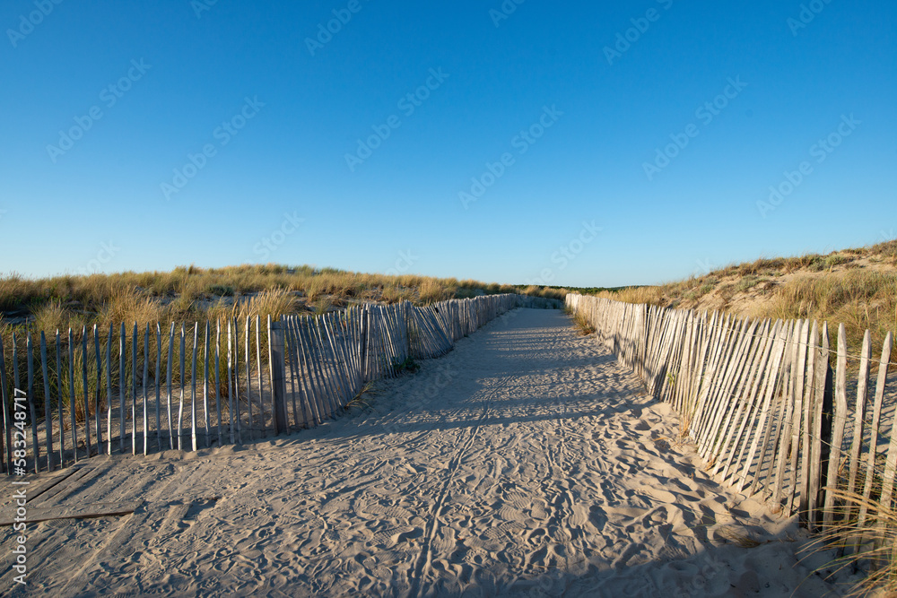 chemin sableux sur la dune bordé par les ganivelles derrière des oyats