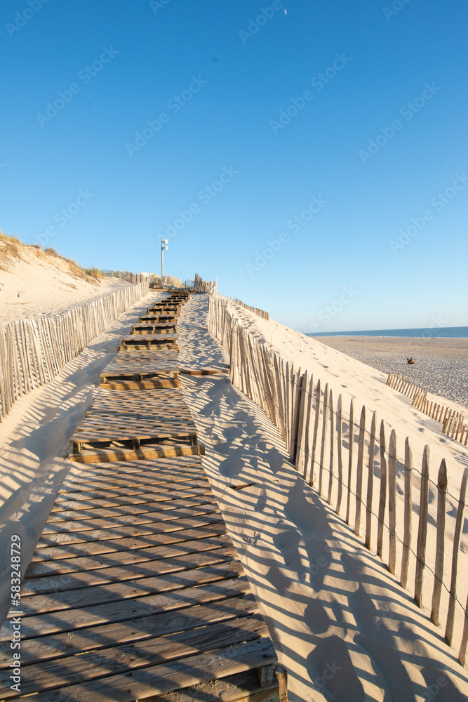 le sentier sur la dune