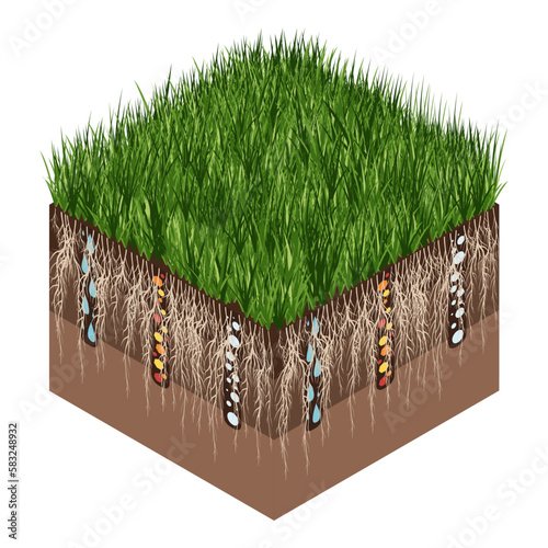 Lawn care - aeration and scarification. Labels by stage- after. Intake of substances-water, oxygen, and nutrients to feed the grass and soil. Vector isometric illustration isolated