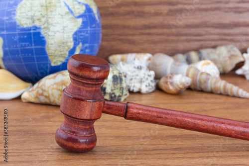 Global Marine Environment is worldwide social issue symbolized by wood gavel, sea shells, and globe 