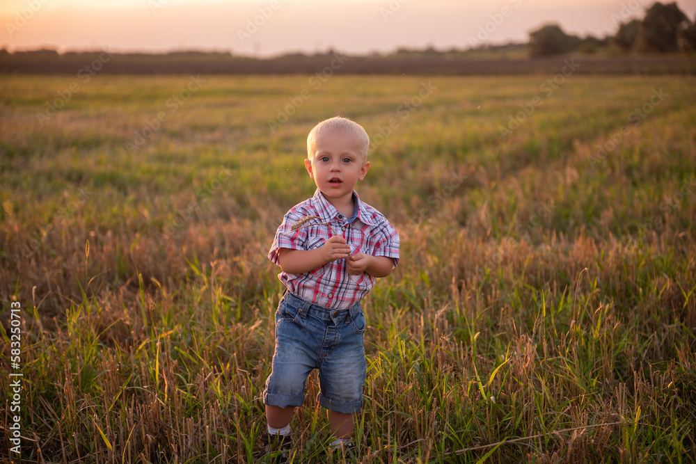 Close up portrait of little boy in plaid shirt. Todder with emotions eats spikelet of wheat Close up portrait of little boy in plaid shirt. Todder with emotions eats spikelet of wheat