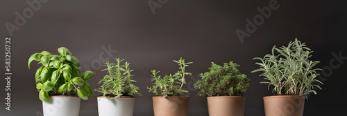 Italian spices in a garden pot, various types of basil, thyme, oregano, rosemary, sage, bay leaves and parsley on a neutral background with copy space, generative ai illustration