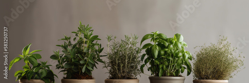 Italian spices in a garden pot, various types of basil, thyme, oregano, rosemary, sage, bay leaves and parsley on a neutral background with copy space, generative ai illustration