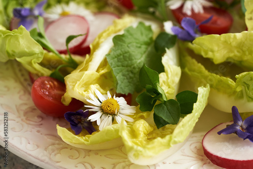 Fresh vegetable salad with wild edible plants - common daisy, nipplewort and chickweed photo