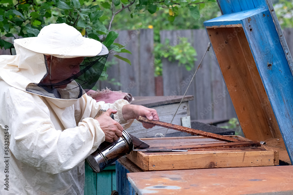 Φωτογραφία Care of the hive, bees. Collection of honey. The life of bees.