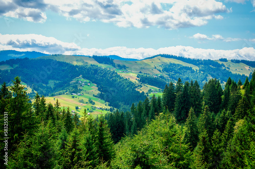 green treetops at the top of the mountain, mountain landscape, travel. High quality photo