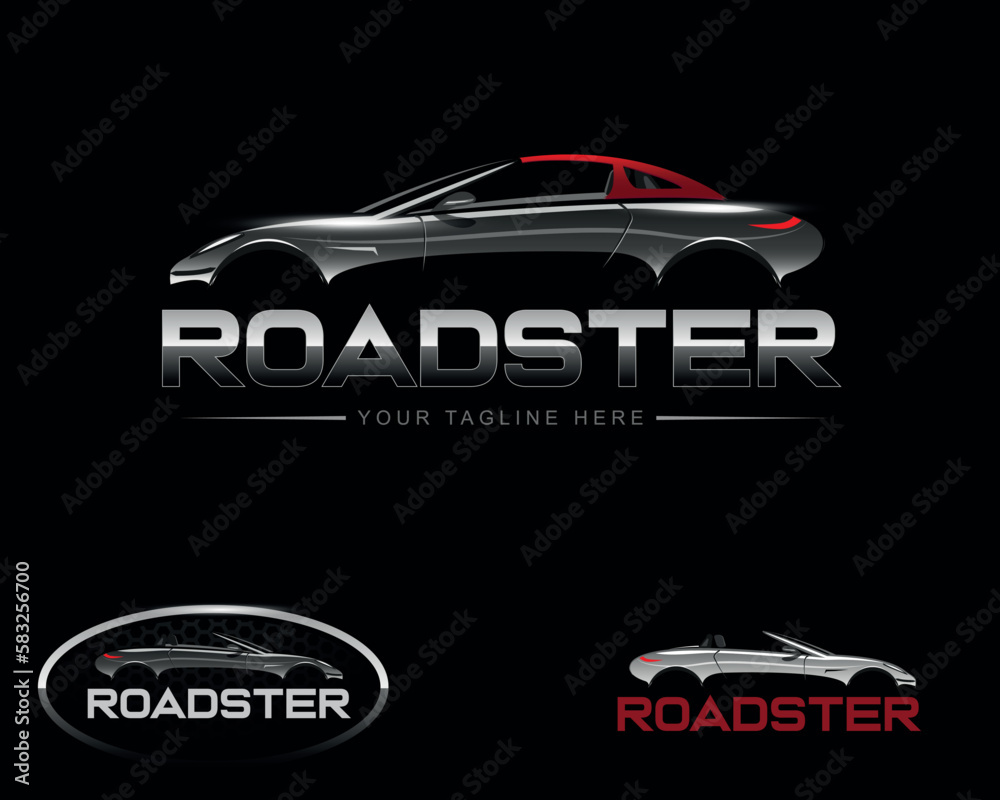 Car Illustration Logo Concept Design with Metallic Effect and Convertible Option Variation
