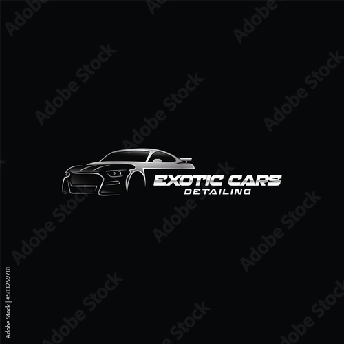 Exotic car detail and wash with garage and car dealership