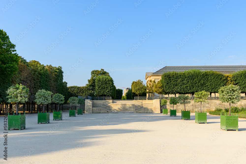 Obraz premium An Alley in the Jardin des Tuileries , in Europe, France, ile de France, Paris, in summer, on a sunny day.
