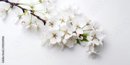 Wallpaper Mural The Perfect Accent: Japanese Cherry Blossoms in a White Setting. AI Generated Art. Whitespace, Wallpaper, Background. Beauty Concept. Timeless. Torontodigital.ca