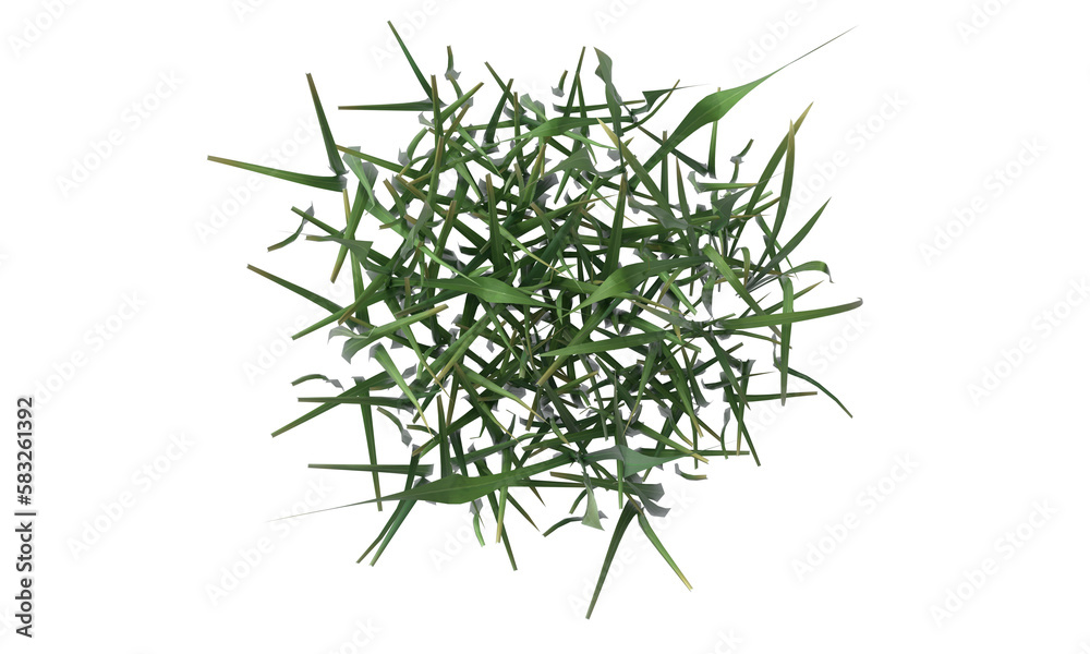 grass top view Stock Illustration | Adobe Stock