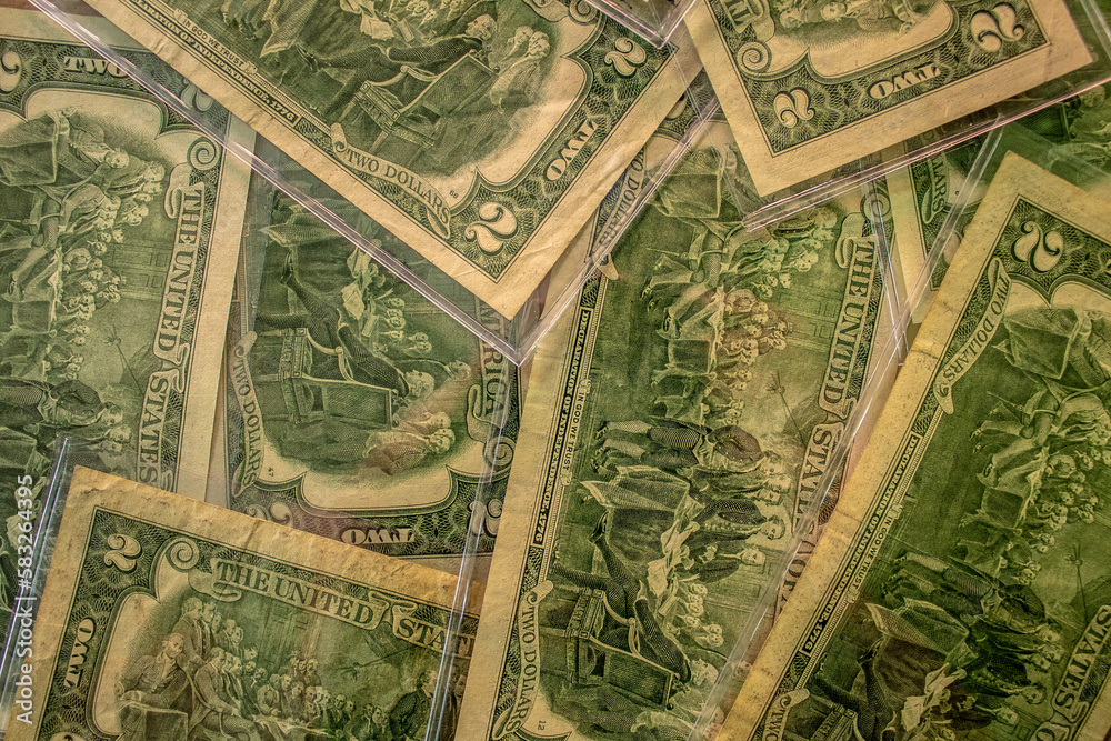 Fototapeta premium View of back of 2 dollar bills, background.
