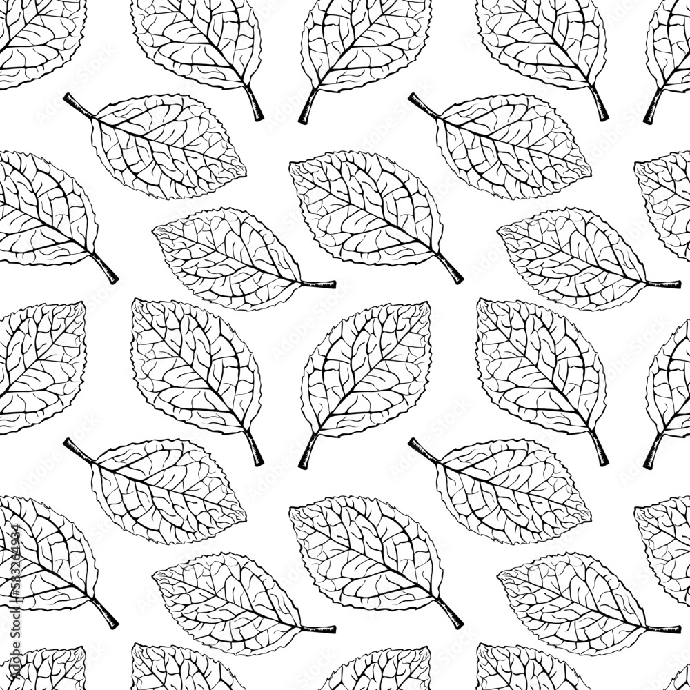Seamless pattern with leaves on a white background. Black and white repeat texture. Vector illustration