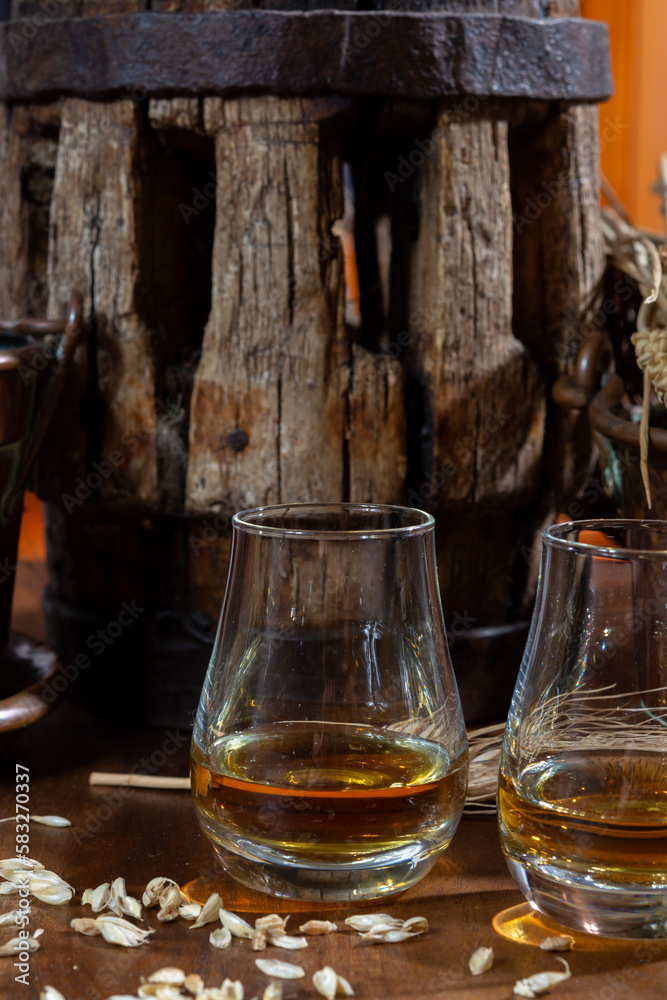 Speyside scotch whisky tasting on old dark wooden vintage table with barley grains close up Speyside scotch whisky tasting on old dark wooden vintage table with barley grains close up