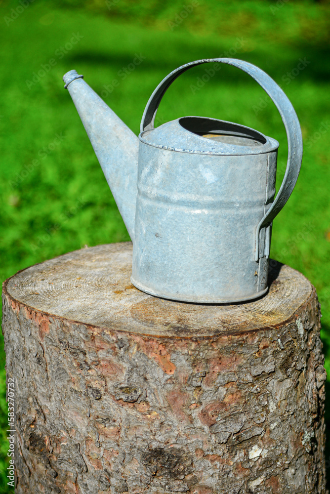 Antique metal watering can on a tree stump with green grass in the background