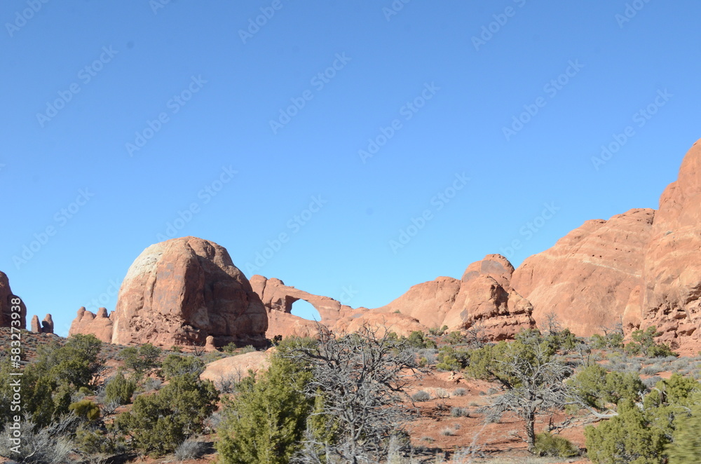 Fototapeta premium park