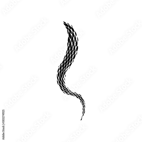 vector illustration of a snake's tail