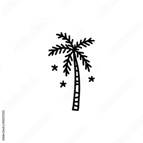 vector doodle illustration of a coconut tree