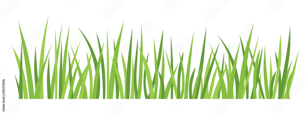 blades of green grass  - vector illustration